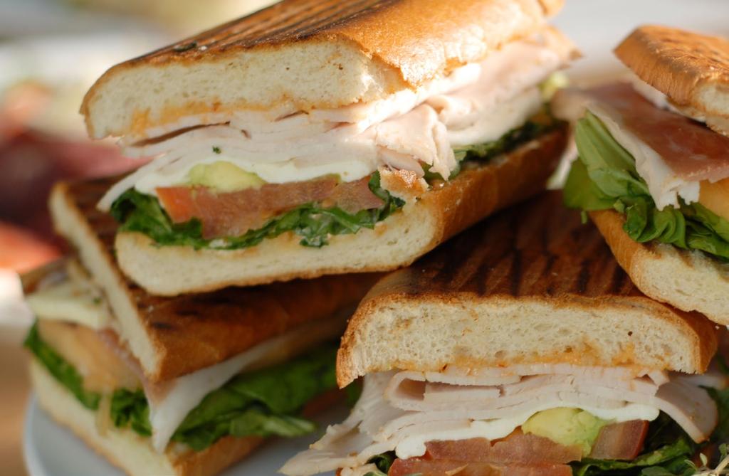 Paninis OUR FAMOUS CHICKEN SPECIAL Grilled breast of chicken, sun dried tomato, avocado, provolone cheese and our homemade basil garlic sauce TURKEY SPECIAL Sliced breast of turkey, sun dried tomato,