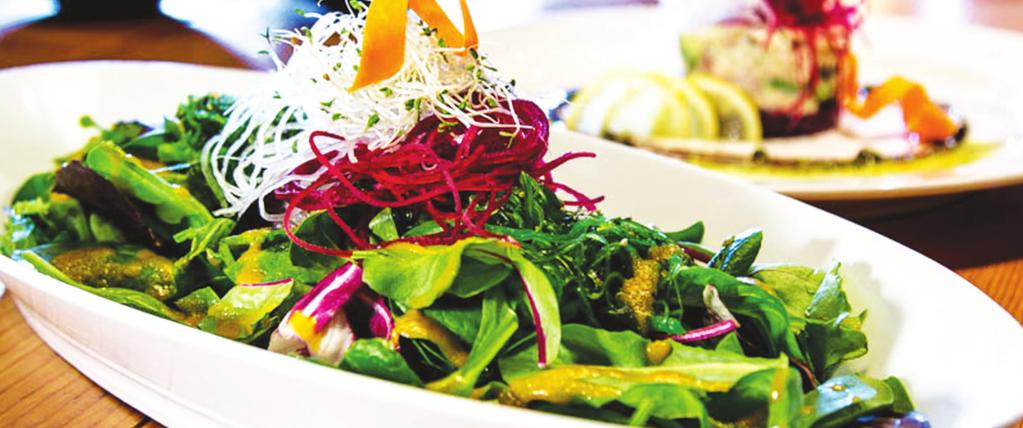 Wakame Salad SOUP & SALAD SASHIMI SELECTION Garden Green Salad 5.95 Tuna Regular 9.95 Half (4pcs) 6.95 Ika Salad 9.95 Spicy Tuna 11.95 Squid Salad Toro Regular 14.95 Half (4pcs) 8.95 Wakame Salad 8.