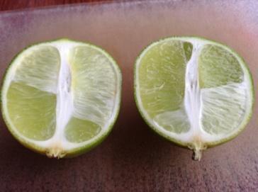 the middle of each lime Cut