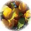 Fruit 2 Fruit & Nut Crops ACRES 221 221 1,215 1,248 40,144 39,636 515 521 10,449 9,630 10,449 9,630 466 410
