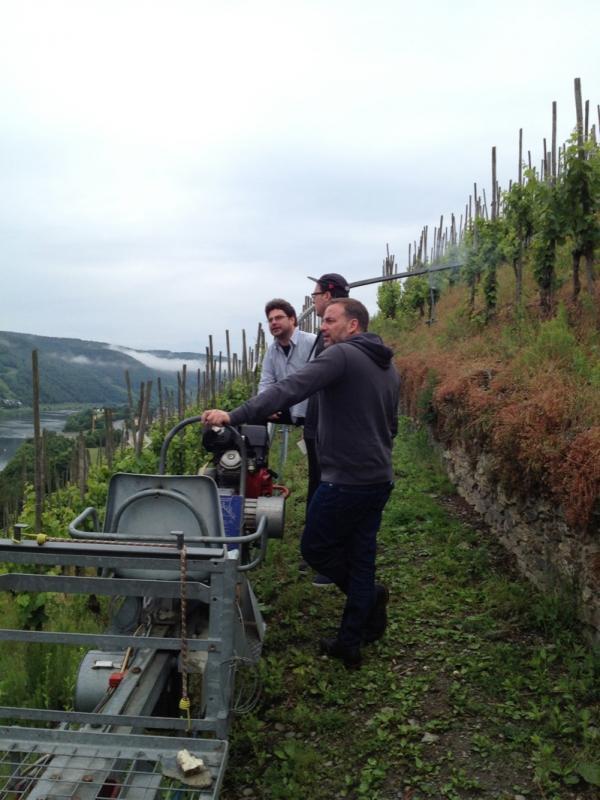 Immich-Batterieberg Middle Mosel wines