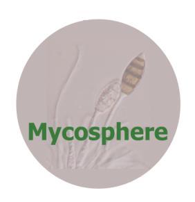 Mycosphere 4 (3): 616 625 (2013) ISSN 2077 7019 www.mycosphere.org Article Mycosphere Copyright 2013 Online Edition Doi 10.