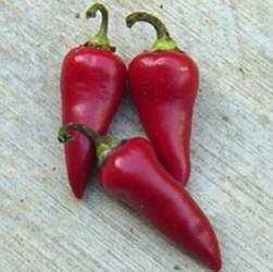 Hot Pepper (2500-10K SHU) FRESNO FLAMING FLARE 67 days green/ 77 day red. New! Widely adapted Fresno pepper. Conical-shaped fruits are thin walled, avg.