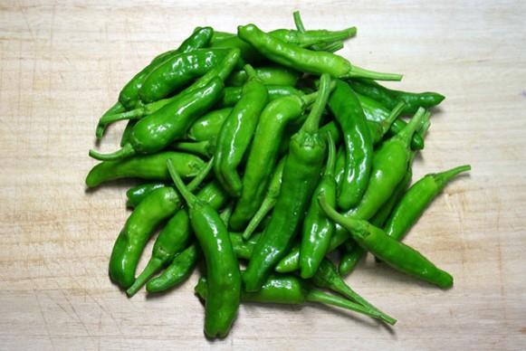 Sweet Pepper MELLOW STAR SHISHITO 80 days green. Popular Japanese snack, pepper has characteristic thin skin and a very mild flavor.