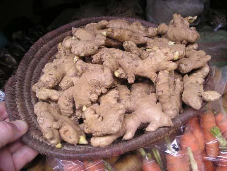 Rhizome sundried, sometimes scalded first and scraped. Marketed when dried to 7 12% moisture.