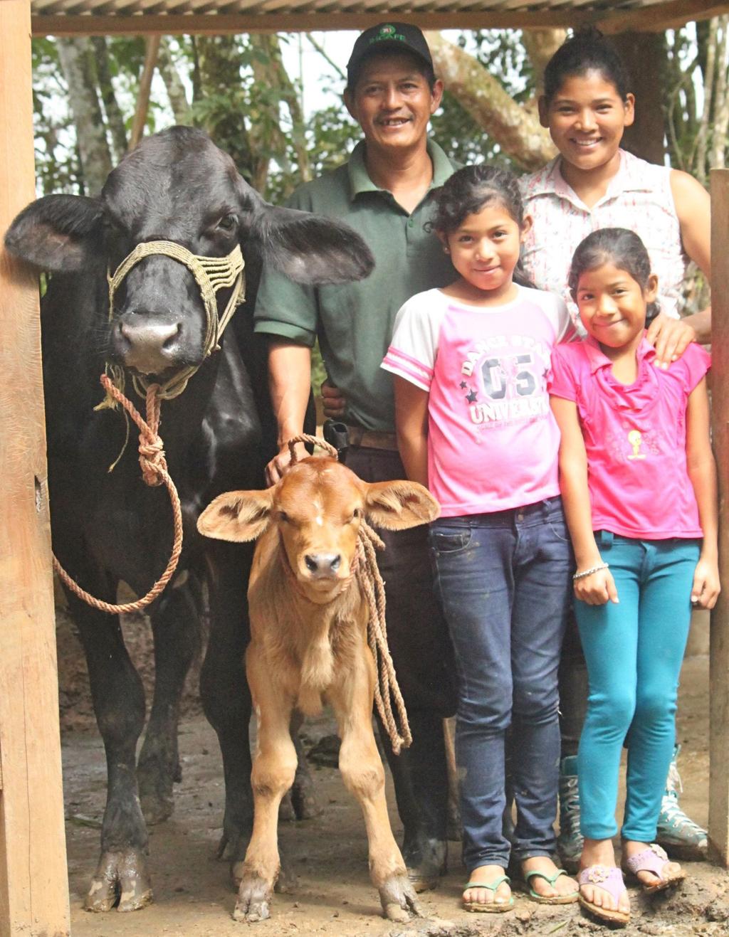 MOST SIGNIFICANT CHANGE STORY Coffee farmers Maria Francisca Perez and Hector Amilcar Sanchez live with their three daughters (ages 3, 14 and 10) in the community of La Vega, Santa Cruz de Rio Negro