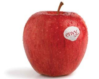 Envy Apples are a cross between Royal Gala and Braeburn apples that produces a fi rm and crunchy apple with a very sweet, classic apple fl avor profi le (what you wish Red Delicious tastes like).
