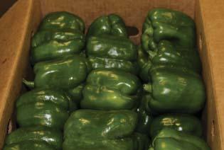 OG PEPPERS Organic Green Peppers are in limited supply out of CA.