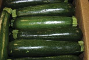 GA reports adequate supplies of Organic Green Peppers and Florida should start in early November.