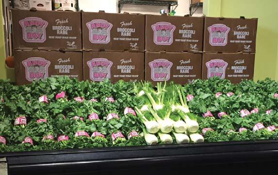 Romaine Hearts are in good supply from California with steady pricing and nice quality.