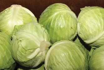 is in good supply out of NY. CA and Canada report good supplies of Organic Green Cabbage.