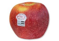NEW ITEMS OR BACK IN SEASON IN STOCK NOW OR ARRIVING THIS WEEK ORGANIC 46007 - OG Mayer s Apple Cider 9/59 oz