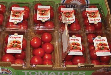 CV TOMATOES Campari Tomatoes are promotable with lower pricing. Beef and Cluster Tomatoes are steady. Vine Ripe Tomatoes are limited with steady pricing.