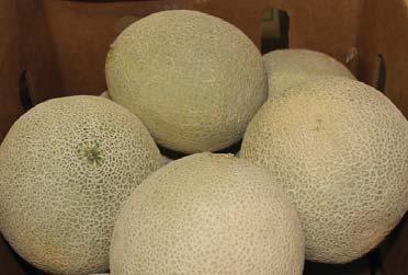 CV MELONS Mexican and Arizona Melon production will continue to increase this week. Look for prices to come down slightly as volumes increase.
