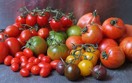 Tomato Flavor Tests 79 heirloom tomato varieties tested 68 tomato flavor