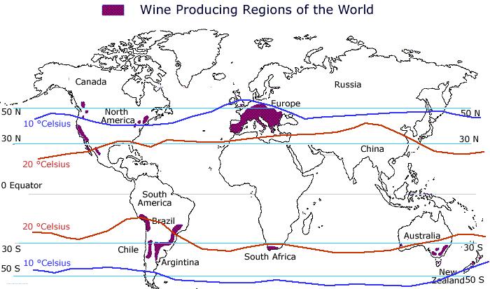 Audience Question World-wide, where are most of the winegrapes grown? (A) Equally all over the world (B) Between 30-50 latitude in north and south hemispheres (C) In California (D) In France B.