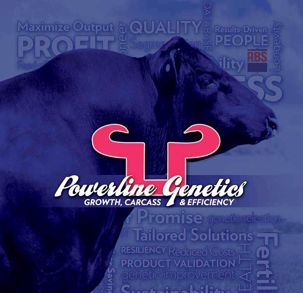 Powerline Beef Genetics Presents the annual New Mexico Bull Sale Sat. January 28, 2017 Located at V4 Land & Cattle 119 Cain Rd Logan, NM 88246 7 miles N. Hwy 39 1 mile E on Cain Rd.