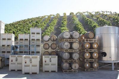From Farm to Fork Farm: grapes picked manually/mechanically and put into macro bins (rigid PC) durable, sanitizable,