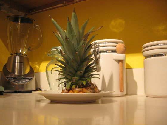 How to Grow Pineapples Intro: How to Grow Pineapples Pineapples are wonderful fruit. Not only are they delicious, but they are also very easy to grow.
