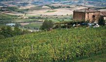 Marroneto vineyard 56 Podere Brizio, 2009**** RP 90/100, JS 90/100 Drink 2016-2021 PIEDMONT a.6 Bot HK$ 1,700.