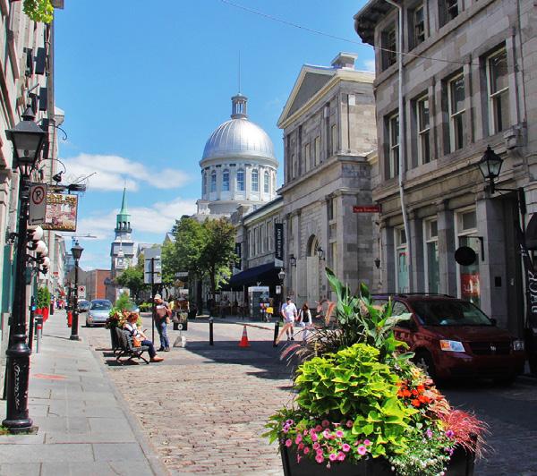 Then, stretch your legs during a guided walking tour of Old Montréal, where you ll have the chance to discover the picturesque charm of the Old Port.