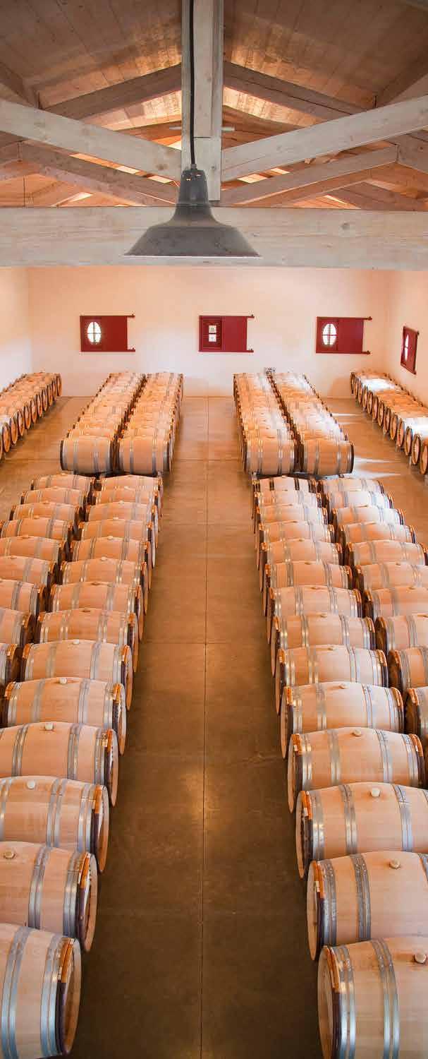 Receptions Visits & Tastings From the vineyard to the vat room to our barrel cellars, visits at the property offer guests insight into the techniques and methods that go into making Haut-Bailly, a