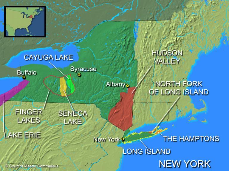 New York AVA s Long Island AVA North Fork of Long Island The Hamptons Long Island Finger Lakes AVA Cayuga Lake Seneca Lake Hudson River Region Lake Erie (Shared with Pennsylvania & Ohio) Niagara