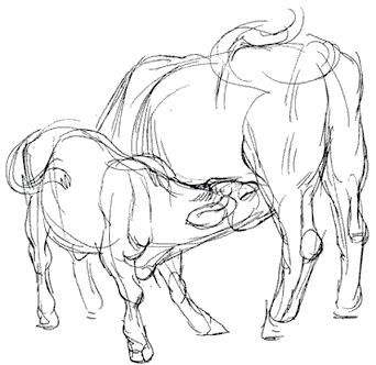 Raw Milk is Uniquely Safe Consider the calf, born in the muck, which then suckles on its mother s manure-covered teat. How can that calf survive?