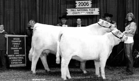 SHOW: SATURDAY, MARCH 7TH - 12 NOON 2006 NAILE Grand Champion Female - donor of lot 24 embryos 24 Owned by: Premier Cattle Co - Bardstown, KY M234430 WCR SIR FA MAC 2244 WCR SIR FAB MAC 809 WCR MISS