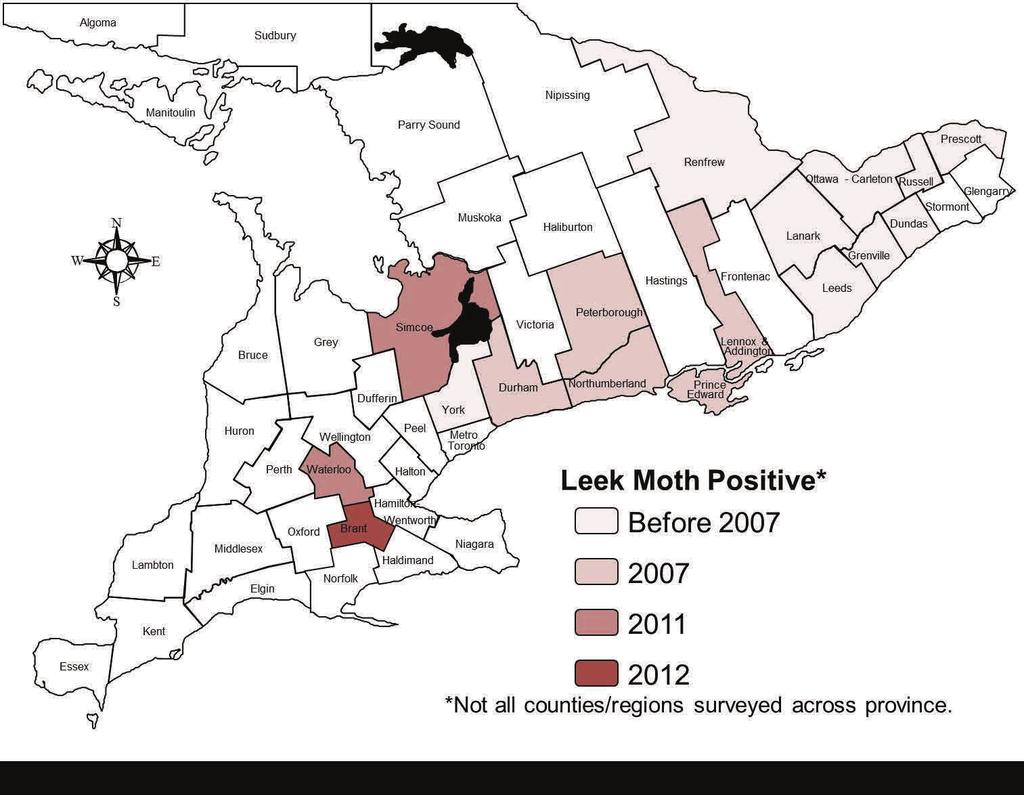 2012 Leek Moth Survey Report Page 3 Objectives & Methods for 2012 Survey The objective of this survey was to determine the distribution of leek moth in allium growing regions of southwestern Ontario
