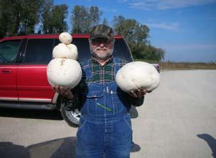They can be small or large very large An edible Puffball should be completely white