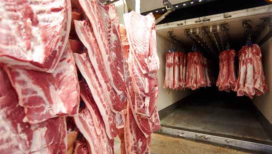 PRODUCTION Slaughterings (number and production) PIG SLAUGHTERINGS IN EU 23.2 12. 118. PIG SLAUGHTERINGS WORLD x1 tonnes cw PRODUCTION 22.8 22.4 22. 21.6 x1 tonnes cw PRODUCTION 116. 114. 112. 11. 18.