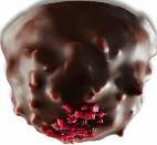 chocolat caramel praline 951 048