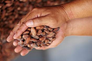 chocolate ganache 914 692 70 % Ethiopie Moka