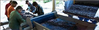 The bunches are harvested and sorted by hand so that only sound grapes are kept. The wines are matured in stainless steel vats and wooden barrels.