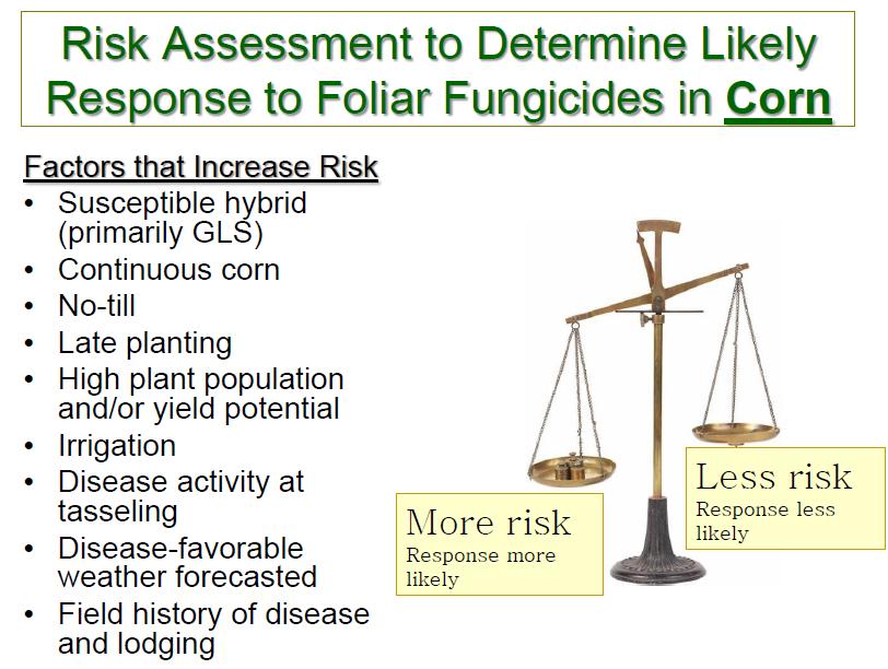 The risk factors for gray leaf spot are listed in Figure 1.