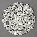 Rice superfino BALDO Rough, husked (better known as brown rice) or wholly milled, Baldo is a longgrane japonica