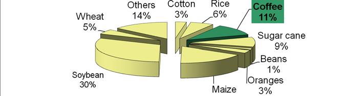 Source: BACEN Preparation: SPA/DEAGRI/CGAE RURAL CREDIT Marketing arrangements (2009) by crop Others 18% Cotton