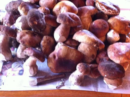 Recipe of the Month: Mushrooms a la Cotati By Patrick Hamilton Mushrooms a la Cotati ~A SOMA style take on classic Mushrooms al Grecque ~ Serving size: 8 as an appetizer Amount Measure Ingredient