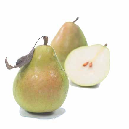 succulently juicy Anjou Pears are great for breakfast, lunch, or a