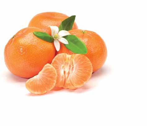 207 Apples And Oranges 10 sweet juicy Texas Navel Oranges 5