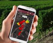 imagery for vineyard management Oenoview