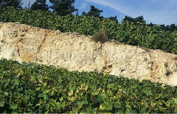 Terroir: product s qualities come with the