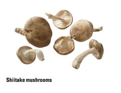 mushrooms Enoki mushrooms