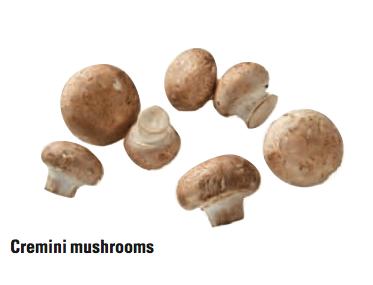 Mushrooms Wild Mushrooms