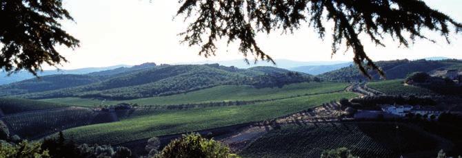 other activities 17 enjoy the countryside of chianti classico HORSE RIDING NORDIC WALKING TREKKING COOKING CLASSES WINE-TASTING COURSES Brolio Castle also offers a series of services theme tours in