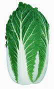 Chinese cabbage,