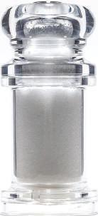 Stainless Steel Salt Shaker &