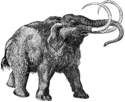 In the Ukraine, most of the mammoth