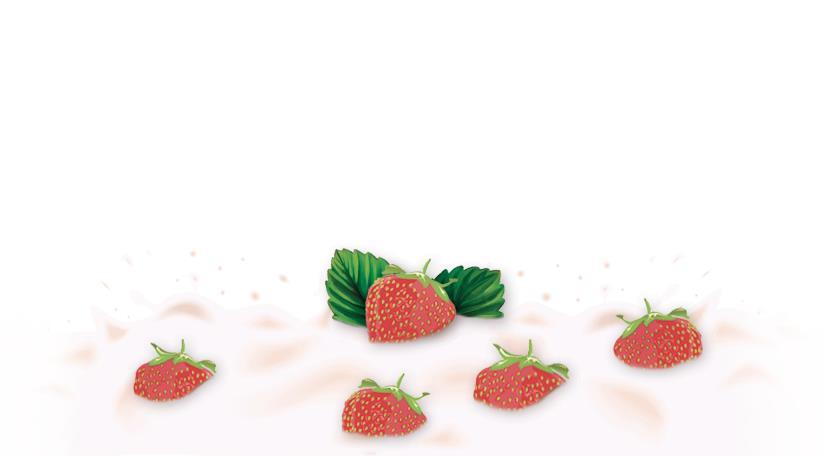 Slika 5.2. Izgled gornjeg dijela dizajna Freska voćnog jogurta od jagode 5.3.